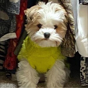 Meet your Posher, Christine